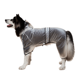 Fofos Four Leg Pet Raincoat - Black