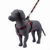 Kennel Red Black Memes Printed Padded Click Lock Adjustable Harness
