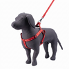 Kennel Red Bones Printed Padded Click Lock Adjustable Harness