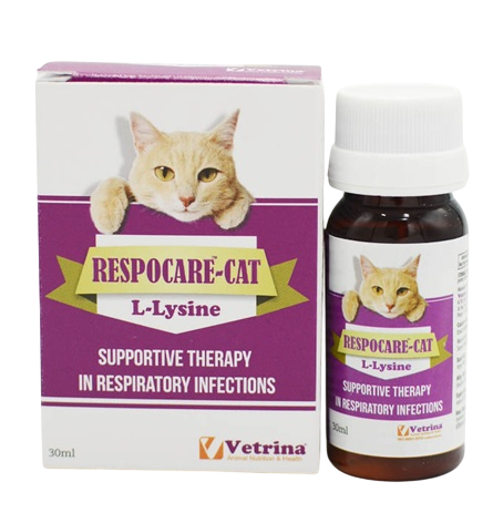 Vetrina : Respocare-Cat L-Lysine Syrup – Respiratory Support for Cats