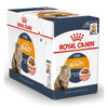 Royal Canin Intense Beauty Gravy Salsa Sas 85g Pouch