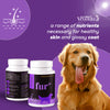 Venttura Fur+ Chewable Tablets – Comprehensive Skin & Coat Support