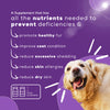 Venttura Fur+ Chewable Tablets – Comprehensive Skin & Coat Support
