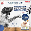 AIMIL Amlycure D.S Pet Liquid - A Polyherbal Liver Corrective & Protective in Desired Strength - Mango Flavour