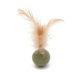 Smarty Pet Catnip Toy With Feather