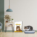 Intersand Cat Exclusive Clumping Cat Litter – Unscented