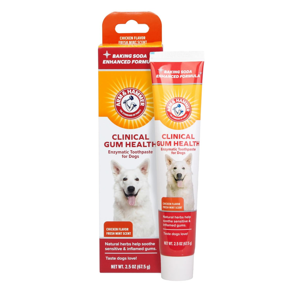Arm & Hammer: Clinical Gum Health Enzymatic Dog Toothpaste - Chicken Flavor with Fresh Mint Scent