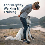 Ruffwear Front Range Dog Harness - Moonlight Mountains