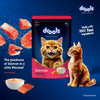 Drools Salmon Mousse Adult Cat Gravy Pouch