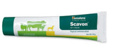 Himalaya Scavon Cream