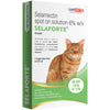 Savavet Selaforte Spot-On for Cats (2.6–7.5 kg) – Single Dose Tube