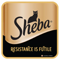 Sheba