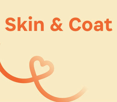 Dog-Skin & Coat