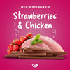 Wiggles : Barkstix Chicken & Strawberry – Healthy Dog Treats