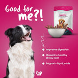 Wiggles : Barkstix Chicken & Strawberry – Healthy Dog Treats