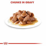 Royal Canin Sterilised Gravy Salsa Sas Cat 85g Pouch - Pack Of 12