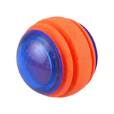 Active Foam TPR Space Ball Dog Toy