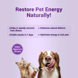 Natural Remedies Natlife Real Chicken Liver Paste – For Dogs & Cats