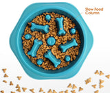 Smarty Pet Slow Feeding Dog Bowl
