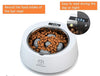 Papifeed Slow Feed Multifunctional Digital Scale Pet Feeder Weighing Bowl