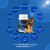 Venttura Flexi+ Chewable Tablets – Hip & Joint Support for Dogs