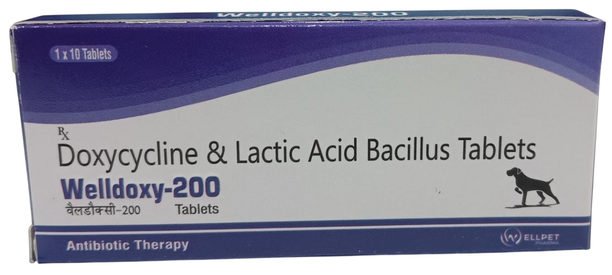 Wellpet Pharma: Welldoxy-200mg – Doxycycline & Lactic Acid Bacillus Tablets for Dogs