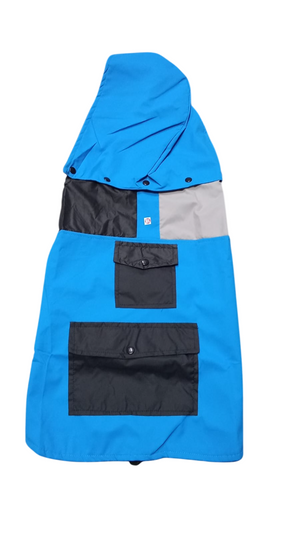 Canes Venatici New Raincoat 2025 (colors may vary)