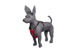 Kennel Full Body Harness (X Large - 34" Inch)