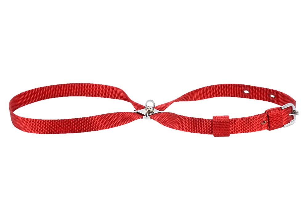 Kennel Nylon Adjustable Body (W = 1/2")