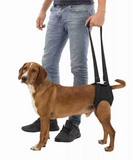 Trixie Gehhilfe Walking Aid For Dogs - Black