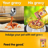 Pedigree Chicken Chunks In Gravy For Puppy (5 Pouch x 70 Gms) - New Offer