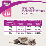 Whiskas Junior Mackerel Flavour Cat Dry Food