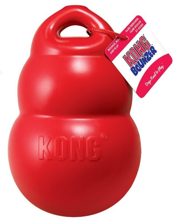 Kong Bounzer Toy