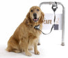 Pawz Safespot Locking Leash