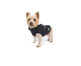 Pawz Dog Coat With Built In Harness