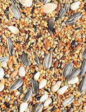 PS Bird African Seed Mix Food