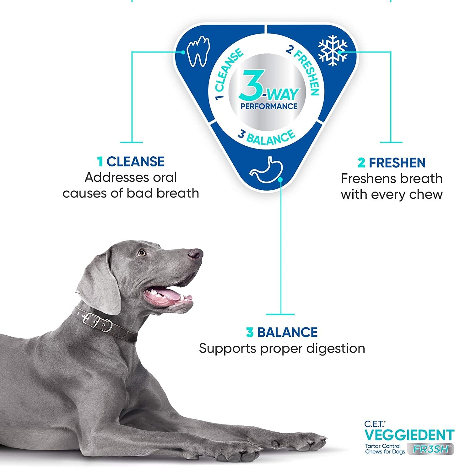 Virbac - Veggie Dent Chews For Small Dogs 5 - 10 Kgs