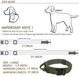 Whoof Whoof Dog Nylon Collar