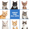 Wahl - No-Rinse Waterless Oatmeal Cat Shampoo