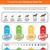 Nylabone Flavour Fun Power Chew Bacon & Egg