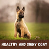 Petkin Milkbath Shampoo For Dog & Cats