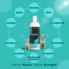 Venttura Amino+ Syrup – Amino Acids & Multivitamin for Pets