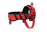 Whoof Whoof Dog Fully Padded Harness