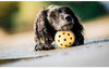 Trixie Spielzeug Fur Blinde Hunde Hole Ball With Bell Natural Rubber Dog Toy
