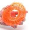 Smarty Pet Durable Spiky Squeaky Ring Chew Toy For Dog