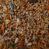 Vitapol Karmeo Premium Cockatiel Food