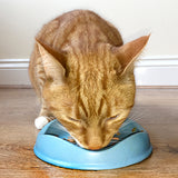 BecoPets Eco Friendly Cat Bowl