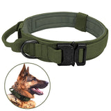 Whoof Whoof Dog Nylon Collar