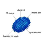 Smarty Pet Spike Rugby Ball Chew Dog Toy