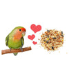 Vitapol Karma Complete Food for Lovebirds